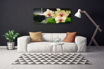 Tableaux sur toile Arbres floral blanc rouge