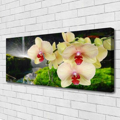 Tableaux sur toile Arbres floral blanc rouge