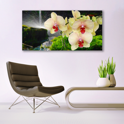 Tableaux sur toile Arbres floral blanc rouge