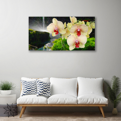 Tableaux sur toile Arbres floral blanc rouge