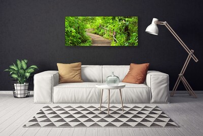 Tableaux sur toile Escaliers nature brun vert