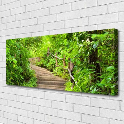 Tableaux sur toile Escaliers nature brun vert