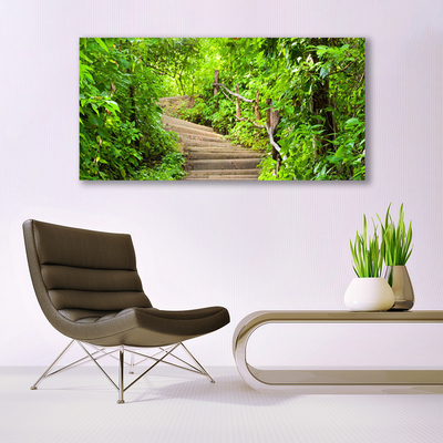 Tableaux sur toile Escaliers nature brun vert