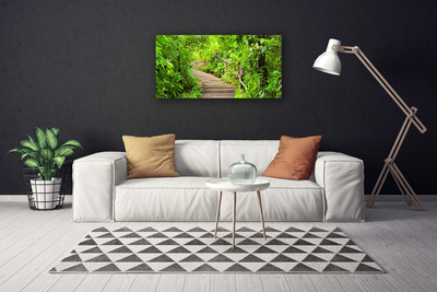 Tableaux sur toile Escaliers nature brun vert