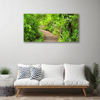 Tableaux sur toile Escaliers nature brun vert