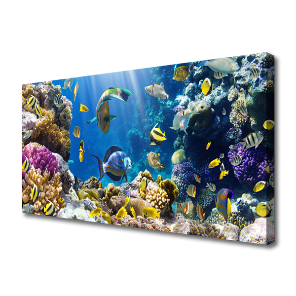 Tableaux sur toile Récif de corail nature multicolore