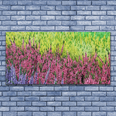 Tableaux sur toile Fleur floral violet rouge vert