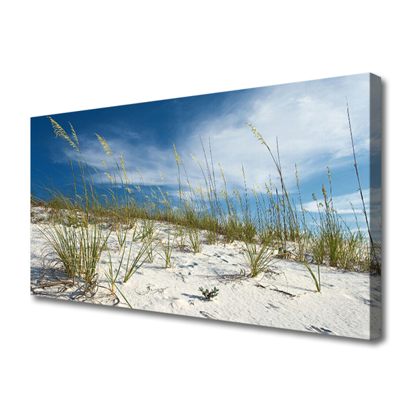 Tableaux sur toile Plage paysage brun vert