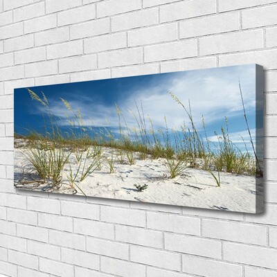 Tableaux sur toile Plage paysage brun vert