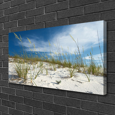 Tableaux sur toile Plage paysage brun vert