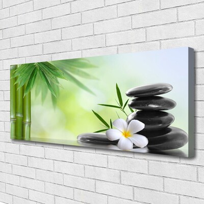 Tableaux sur toile Bambou tige fleur pierres art vert blanc noir