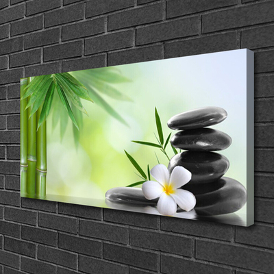 Tableaux sur toile Bambou tige fleur pierres art vert blanc noir