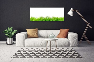 Tableaux sur toile Herbe nature vert