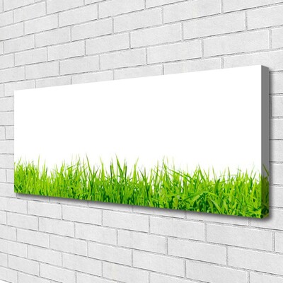 Tableaux sur toile Herbe nature vert