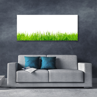 Tableaux sur toile Herbe nature vert