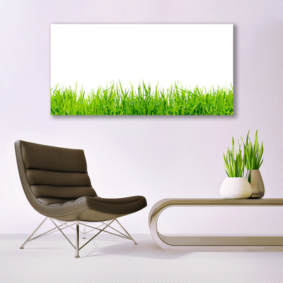 Tableaux sur toile Herbe nature vert