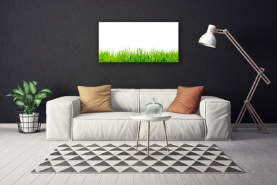 Tableaux sur toile Herbe nature vert