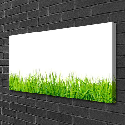 Tableaux sur toile Herbe nature vert