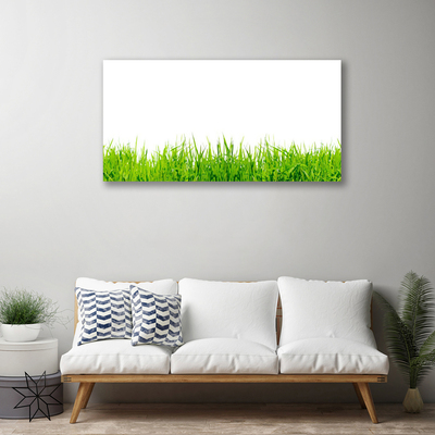 Tableaux sur toile Herbe nature vert