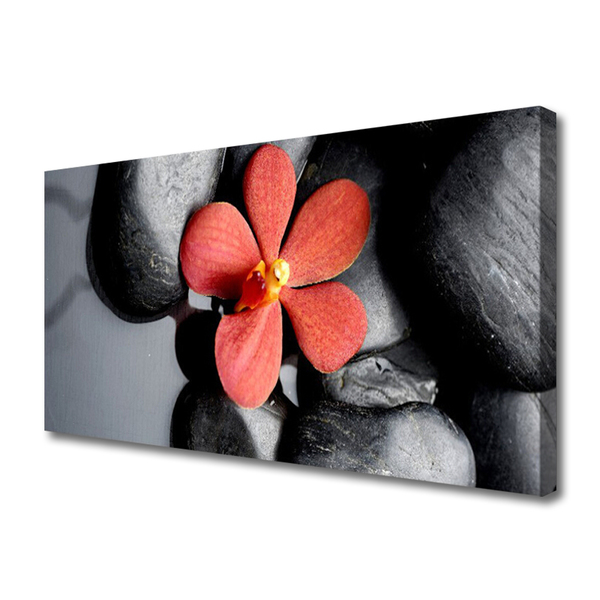 Tableaux sur toile Fleur pierres art rouge gris