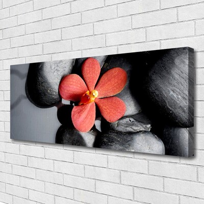 Tableaux sur toile Fleur pierres art rouge gris