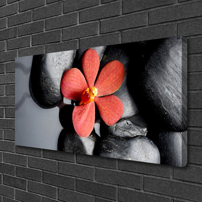 Tableaux sur toile Fleur pierres art rouge gris