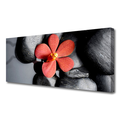 Tableaux sur toile Fleur pierres art rouge gris