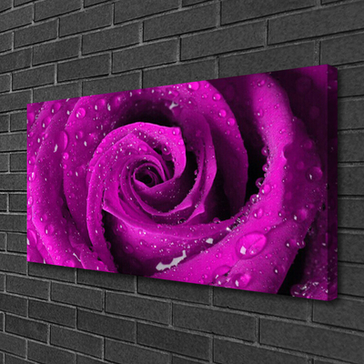 Tableaux sur toile Rose floral rose