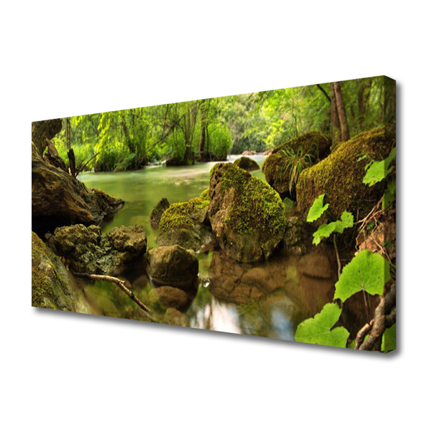 Tableaux sur toile Roche lac nature vert