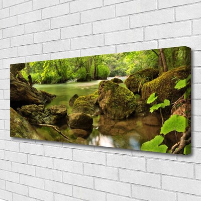 Tableaux sur toile Roche lac nature vert