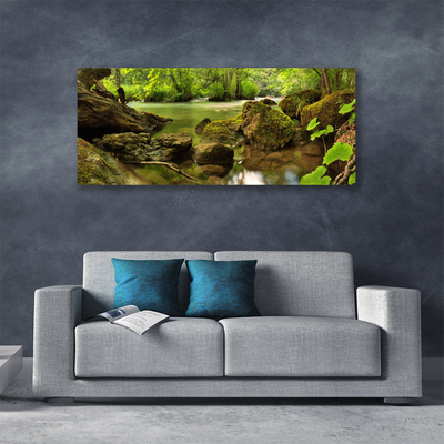 Tableaux sur toile Roche lac nature vert