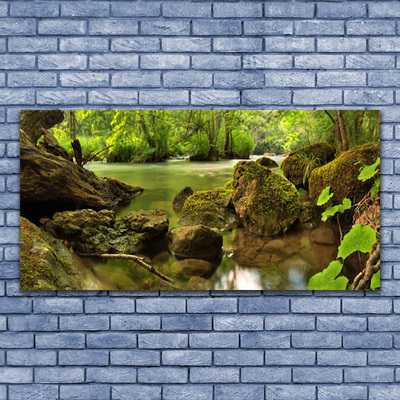 Tableaux sur toile Roche lac nature vert