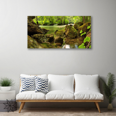 Tableaux sur toile Roche lac nature vert