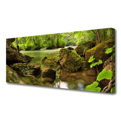 Tableaux sur toile Roche lac nature vert