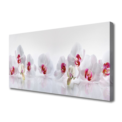 Tableaux sur toile Fleurs floral blanc rouge