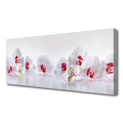 Tableaux sur toile Fleurs floral blanc rouge