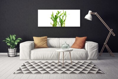 Tableaux sur toile Bambou tige floral vert