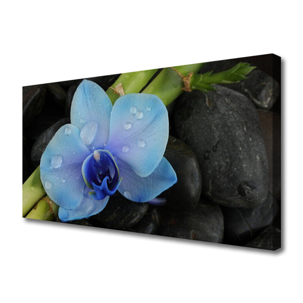 Tableaux sur toile Pierres fleurs floral violet noir