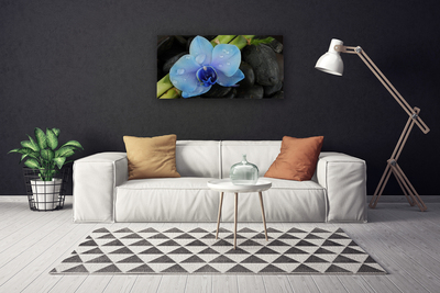 Tableaux sur toile Pierres fleurs floral violet noir