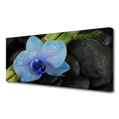 Tableaux sur toile Pierres fleurs floral violet noir