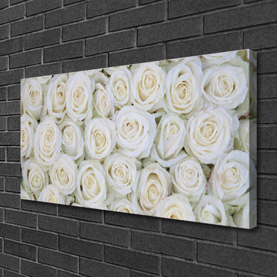 Tableaux sur toile Roses floral blanc
