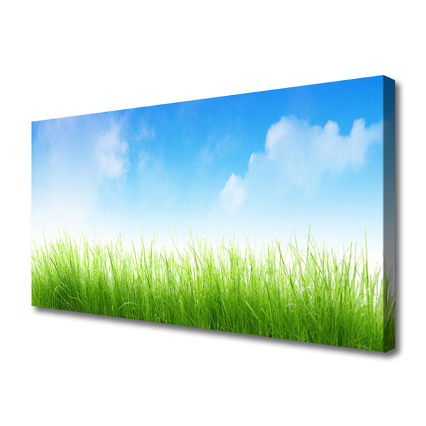 Tableaux sur toile Herbe nature vert