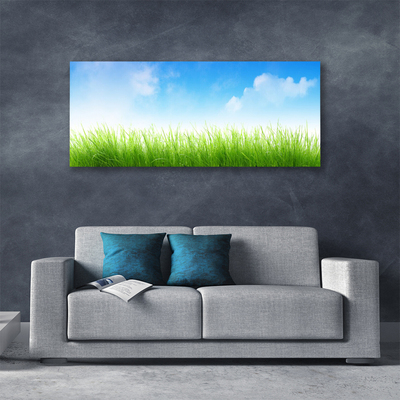 Tableaux sur toile Herbe nature vert