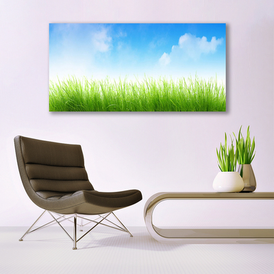 Tableaux sur toile Herbe nature vert