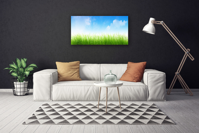 Tableaux sur toile Herbe nature vert