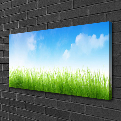 Tableaux sur toile Herbe nature vert