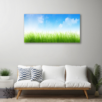 Tableaux sur toile Herbe nature vert