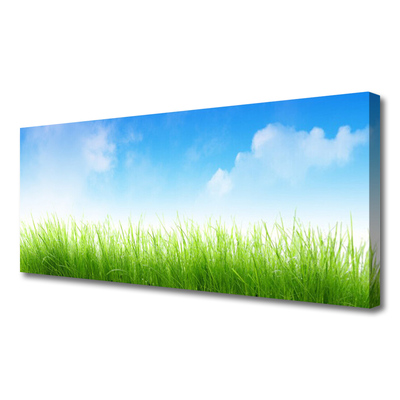 Tableaux sur toile Herbe nature vert