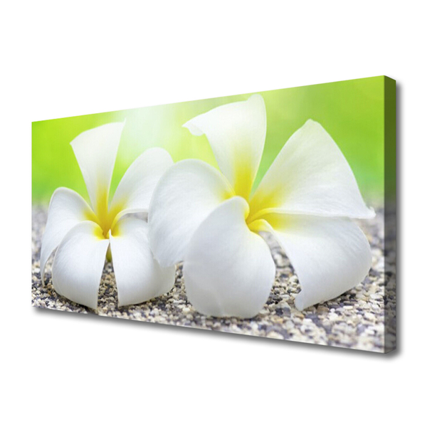 Tableaux sur toile Fleurs floral blanc