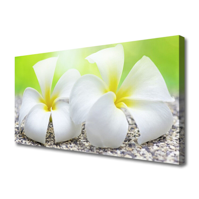 Tableaux sur toile Fleurs floral blanc